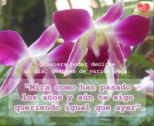 Quisiera poder decirte un día, después de varios años: Mira como han pasado los años y aún te sigo queriendo igual que ayer. Quisiera poder decirte un día