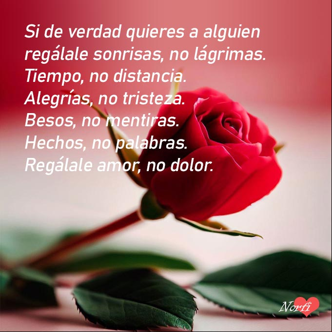 Si de verdad quieres a alguien…. entrégale AMOR, nunca dolor Capullo de rosa roja sobre fondo rosado