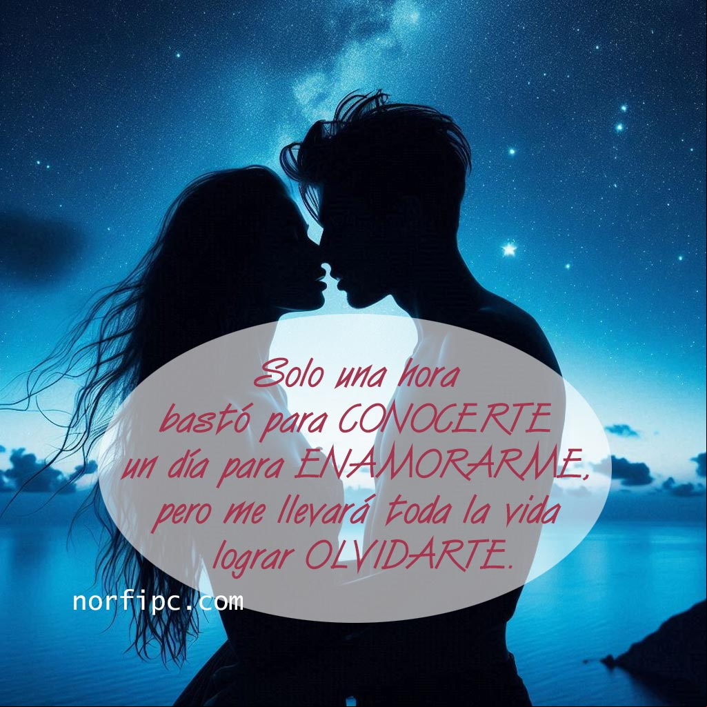 Solo una hora bastó para conocerte, un día para enamorarme, pero me llevará toda la vida lograr olvidarte Siluetas hombre y mujer besandose