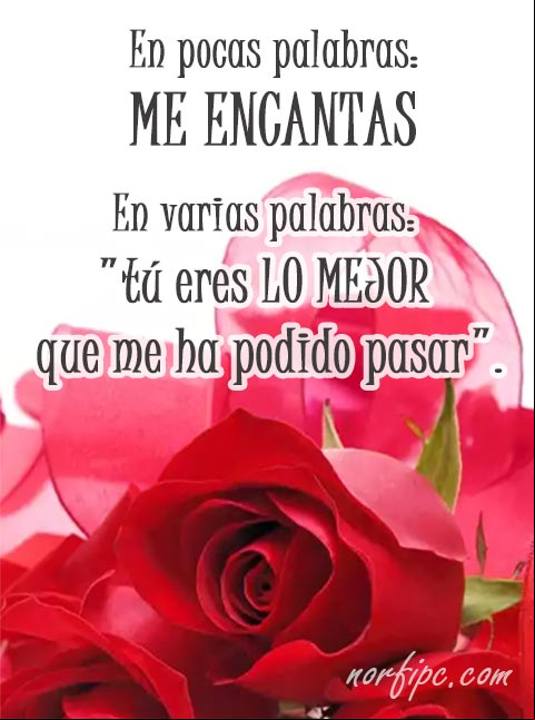 En pocas palabras: ME ENCANTAS. En varias palabras: "tú eres lo mejor que me ha podido pasar". #FrasesAmor En pocas palabras: ME ENCANTAS