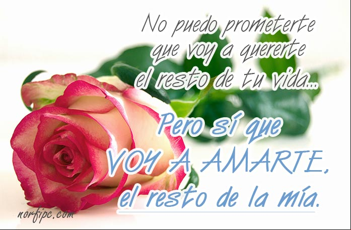 No puedo prometerte que voy a quererte el resto de tu vida... pero sí que voy amarte, por el resto de la mía. #MensajesDeAmor Mensaje de amor: Voy a amarte el resto de mi vida
