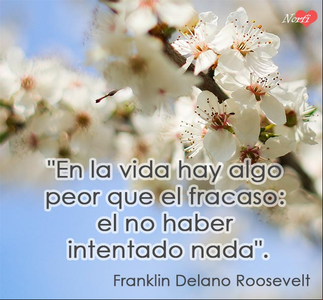 En la vida hay algo peor que el fracaso: el no haber intentado nada. Cita de Franklin Delano Roosevelt En la vida hay algo peor que el fracaso: el no haber intentado nada. Cita de Franklin Delano Roosevelt