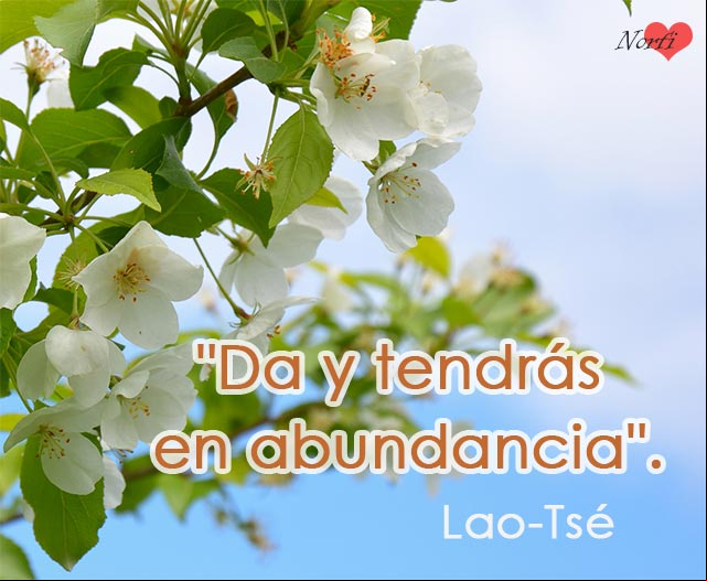 Da y tendrás en abundancia. Frase célebre de Lao-Tsé Da y tendrás en abundancia. Frase célebre de Lao-Tsé