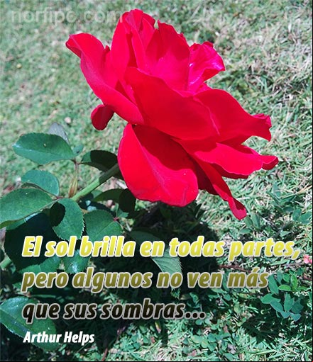 El sol brilla en todas partes, pero algunos no ven más que sus sombras. Arthur Helps Pensamiento positivo de la vida de Arthur Helps