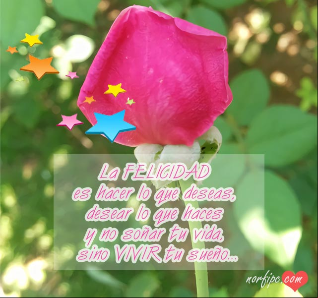 La felicidad es hacer lo que deseas, desear lo que haces y no soñar tu vida, sino VIVIR tu sueño Frases y realidad sobre la búsqueda de la felicidad