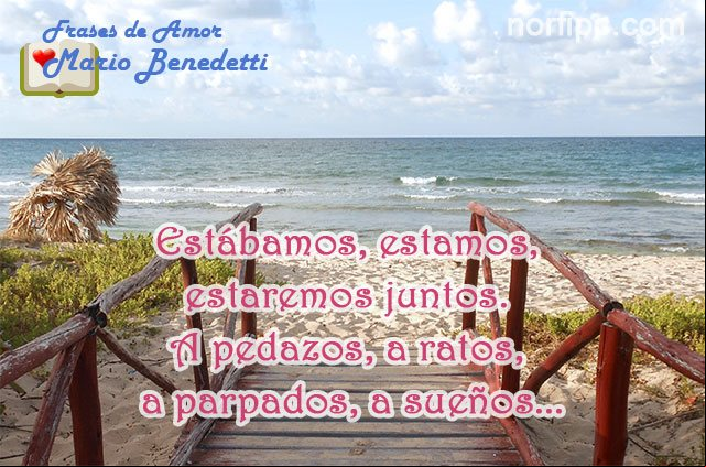 Estábamos, estamos, estaremos juntos. A pedazos, a ratos, a parpados, a sueños. Frase de Benedetti Frases de amor de Mario Benedetti para mi pareja