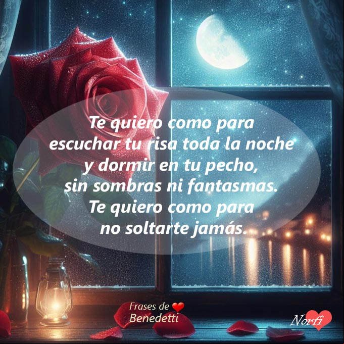 Te quiero como para escuchar tu risa toda la noche y dormir en tu pecho, sin sombras ni fantasmas. Te quiero como para no soltarte jamás. Frase de Benedetti Rosa roja en una ventana, fondo noche de luana estrellada
