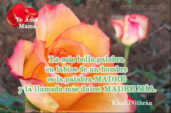 La más bella palabra en labios de un hombre es la palabra MADRE, y la llamada más dulce: MADRE MÍA. Pensamiento de Khalil Gibrán Pensamiento de Khalil Gibrán sobre el amor a la madre