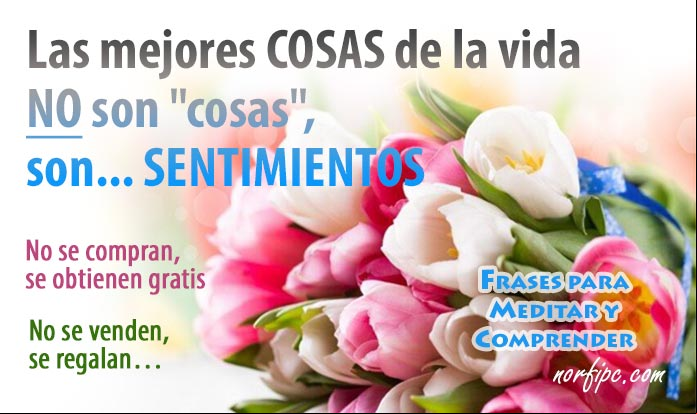 Las mejores COSAS de la vida NO son cosas, son SENTIMIENTOS. No se compran, se obtienen gratis. No se venden, se regalan. Frases y reflexiones para meditar y comprender lo que vivimos