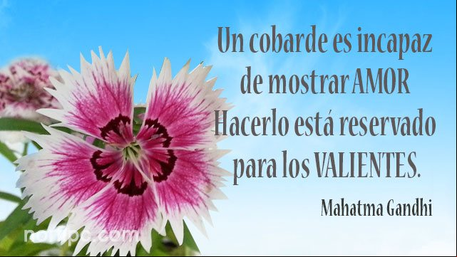 Un cobarde es incapaz de mostrar amor; hacerlo está reservado para los valientes. Pensamiento de Mahatma Gandhi Frase de Mahatma Gandhi sobre los valientes