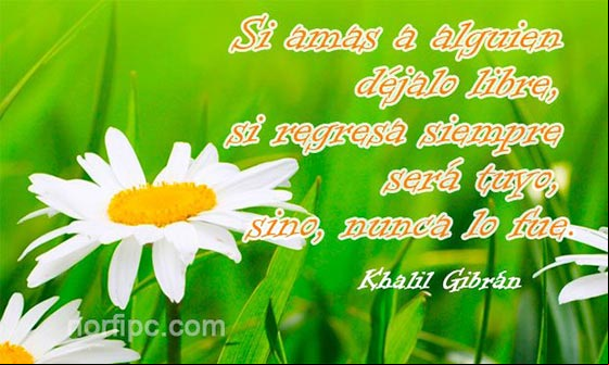 Si amas a alguien déjalo libre, si regresa siempre será tuyo, sino, nunca lo fue. Frase de Khalil Gibrán Pensamiento de Khalil Gibrán sobre el amor y la libertad