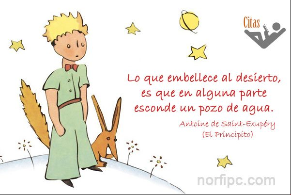 Lo que embellece al desierto, es que en alguna parte esconde un pozo de agua Cita del Principito de Saint-Exupéry, sobre las cosas que embellecen la vida
