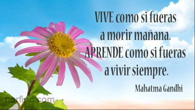 Vive como si fueras a morir mañana. Aprende como si fueras a vivir siempre. Pensamiento de Mahatma Gandhi Pensamiento de Mahatma Gandhi sobre la vida