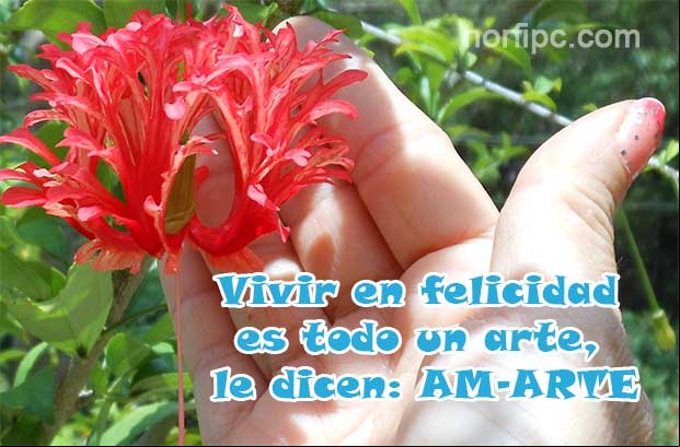 Vivir en felicidad es todo un arte, le dicen: AM-ARTE Consejo de un psicologo para vivir feliz