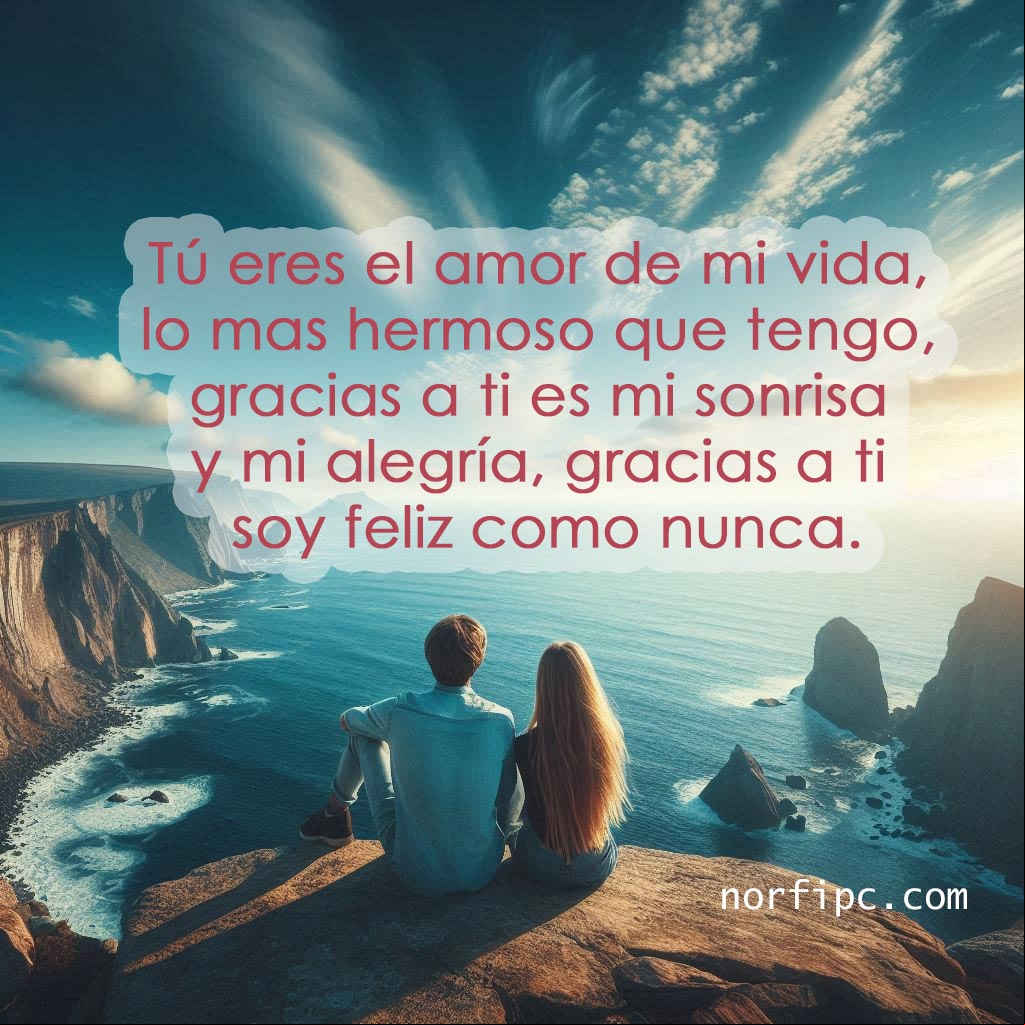 Tú eres el amor de mi vida, lo mas hermoso que tengo, gracias a ti es mi sonrisa y mi alegría, gracias a ti soy feliz como nunca hombre y una mujer de espaldas sentados en un acantilado mirando el mar