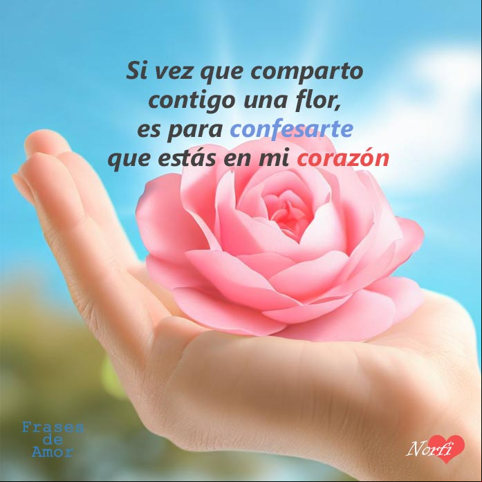 Mano ofreciendo una rosa