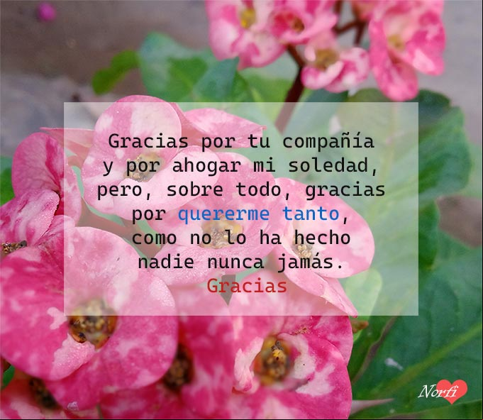 Gracias por quererme tanto, letras para un amor incondicional Gracias por quererme tanto, letras para un amor incondicional