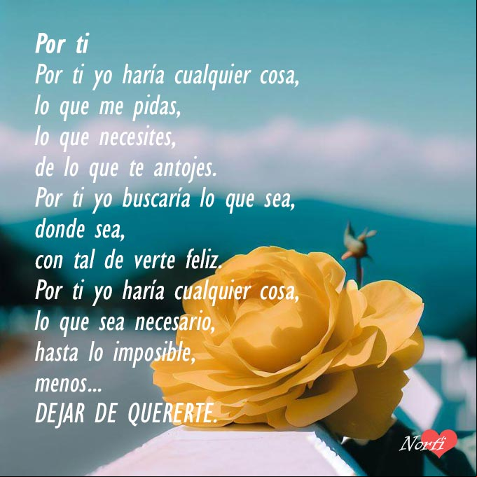 Por ti yo haría cualquier cosa, lo que me pidas, lo que necesites, hasta lo imposible, menos... dejar de quererte Rosda amarilla en una cerca en la carretera