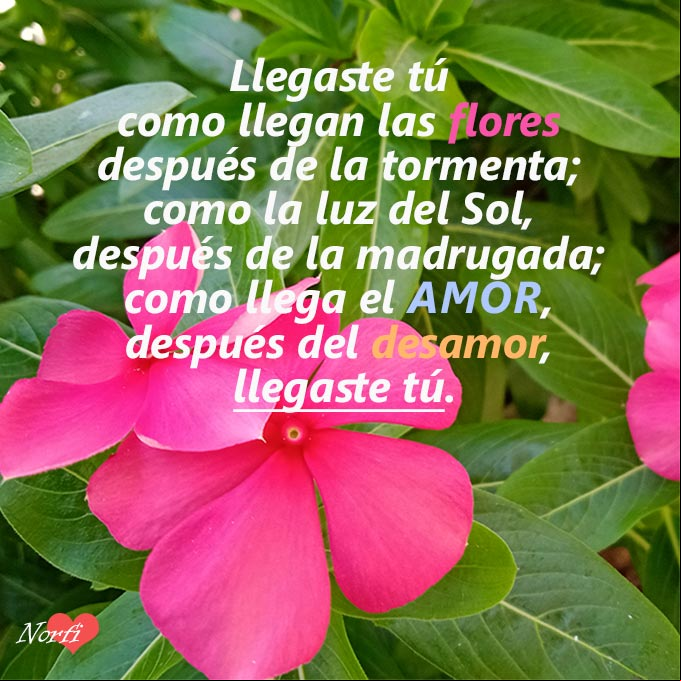 Llegaste tú a mi vida y contigo llegó la felicidad Llegaste tú a mi vida y contigo llegó la felicidad