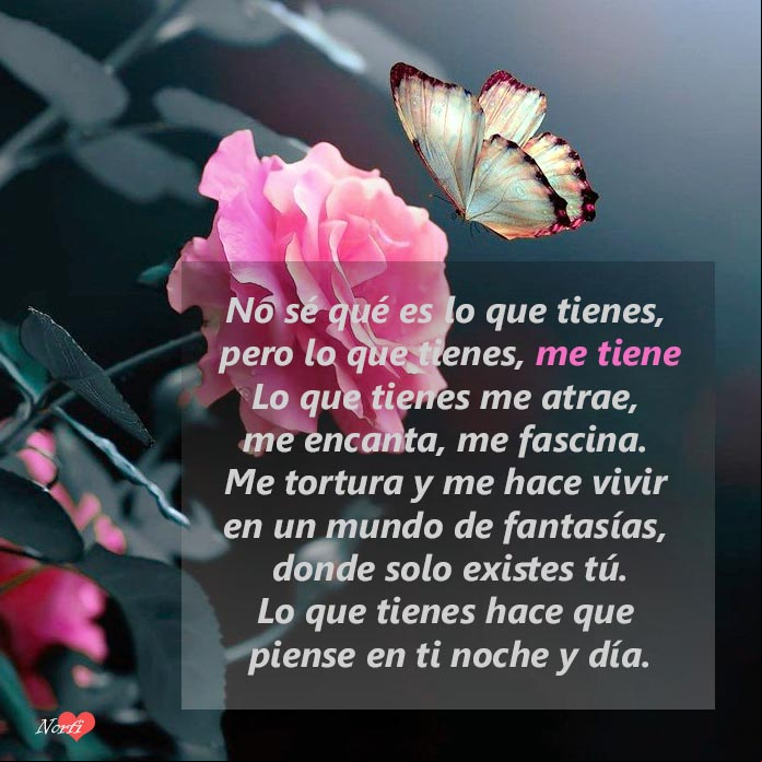 Lo que tienes, me tiene. Poema de un amor obsesionado y hechizado Lo que tienes, me tiene. Poema de un amor obsesionado y hechizado