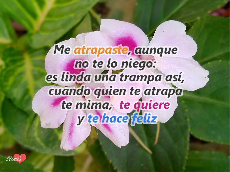 Me atrapaste, aunque no te lo niego: es lindo sentirse en una trampa así, cuando quien te atrapa te mima, te quiere y te hace feliz Poema de amor: Me atrapaste y es lindo sentirse en una trampa así