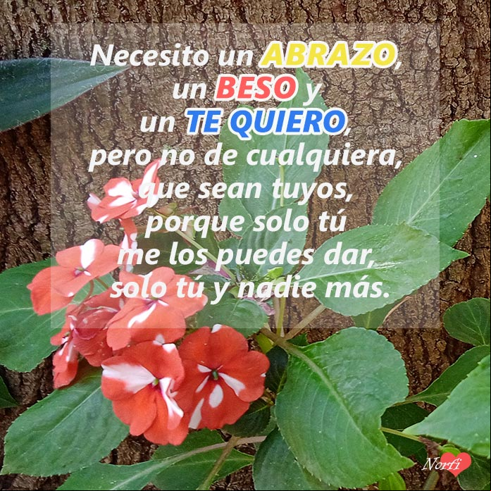 Yo te quiero a mi manera Yo te quiero a mi manera