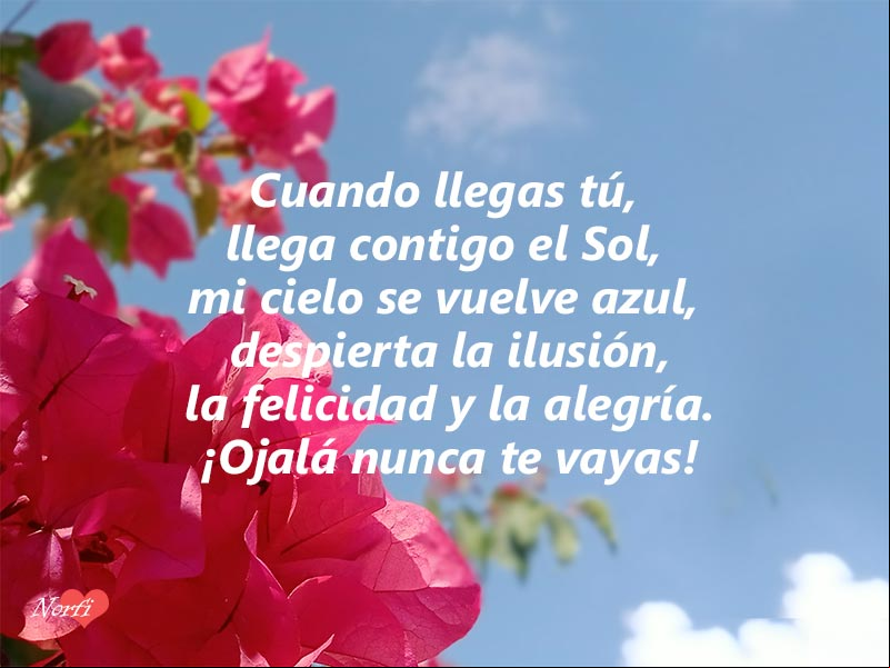 Cuando llegas tú, llega contigo el Sol, mi cielo se vuelve azul, despierta la ilusión, la felicidad y la alegría Poema para dedicar a quien trajo la ilusión, la felicidad y la alegría