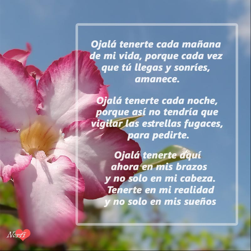 Ojalá tenerte aquí ahora para siempre. Mi declaración de amor Ojalá tenerte aquí ahora para siempre. Mi declaración de amor