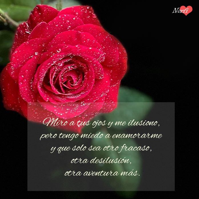 Miro a tus ojos y me ilusiono, pero tengo miedo a enamorarme y que solo sea otro fracaso, otra desilusión, otra aventura más Miro a tus ojos y me ilusiono, pero tengo miedo a enamorarme y que solo sea otro fracaso, otra desilusión, otra aventura más