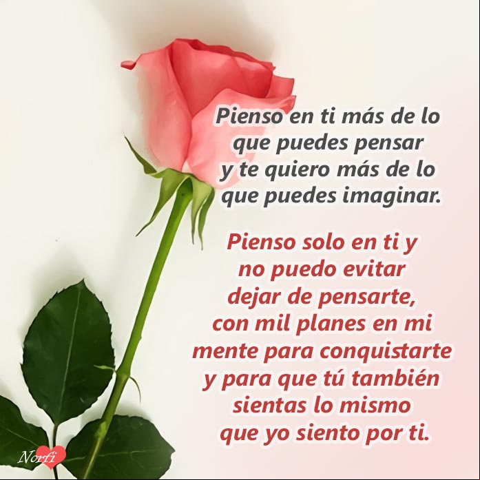 Nunca olvides que te amo, poema Pienso solo en ti. Poema para que te enteres de mi amor y sentimientos