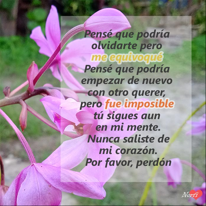 Perdón por traicionarte, poema Esperando otra oportunidad, palabras de arrepentimiento y perdón