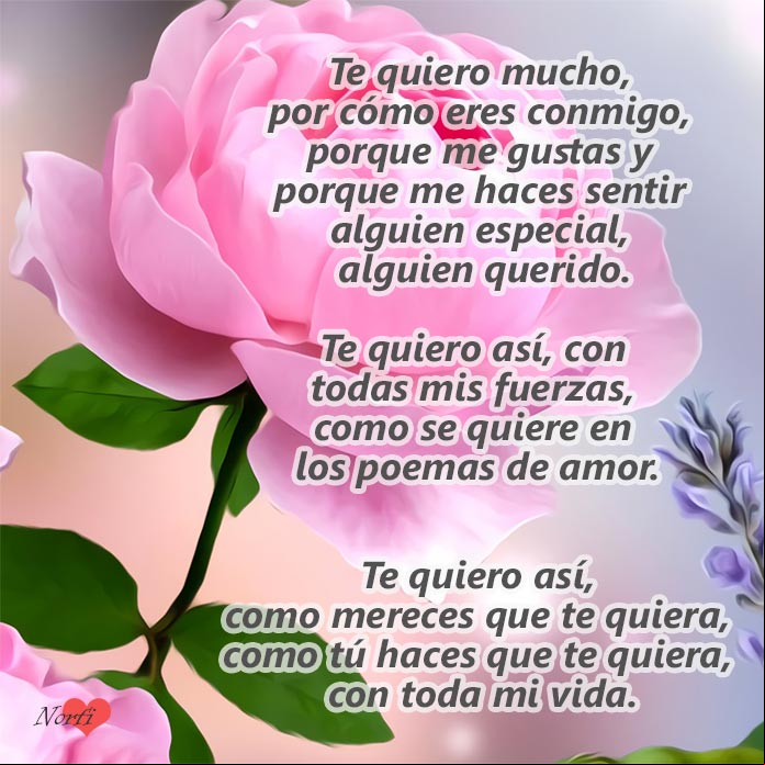 Te quiero, como se quiere en los poemas, con toda mi vida Te quiero así, con toda mi vida. Versos de un amor correspondido