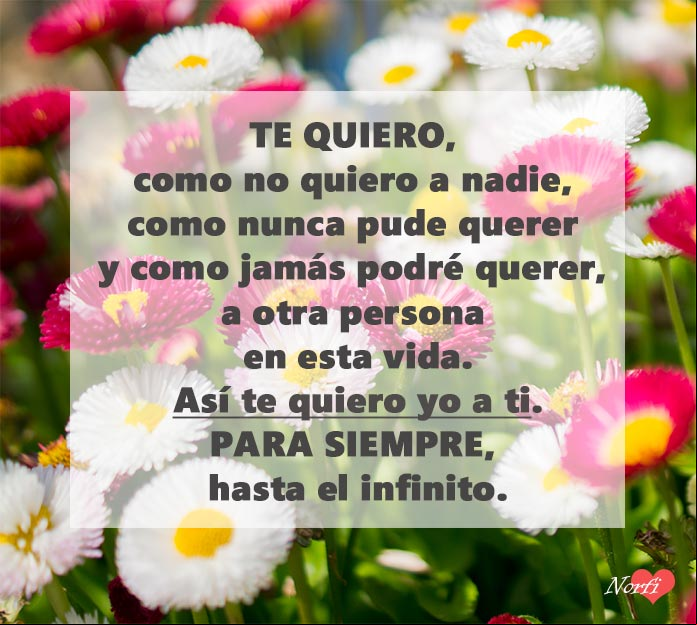 Así te quiero yo a ti Así te quiero yo a ti