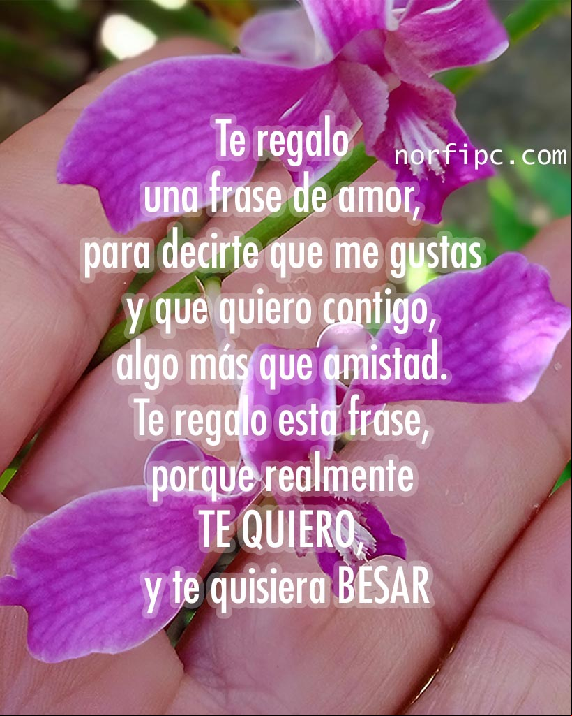 Te regalo una frase de amor, para decirte que me gustas y que quiero contigo, algo más que amistad. Te regalo esta frase, porque realmente te quiero y te quisiera besar Mano abierta con flores de orquidea