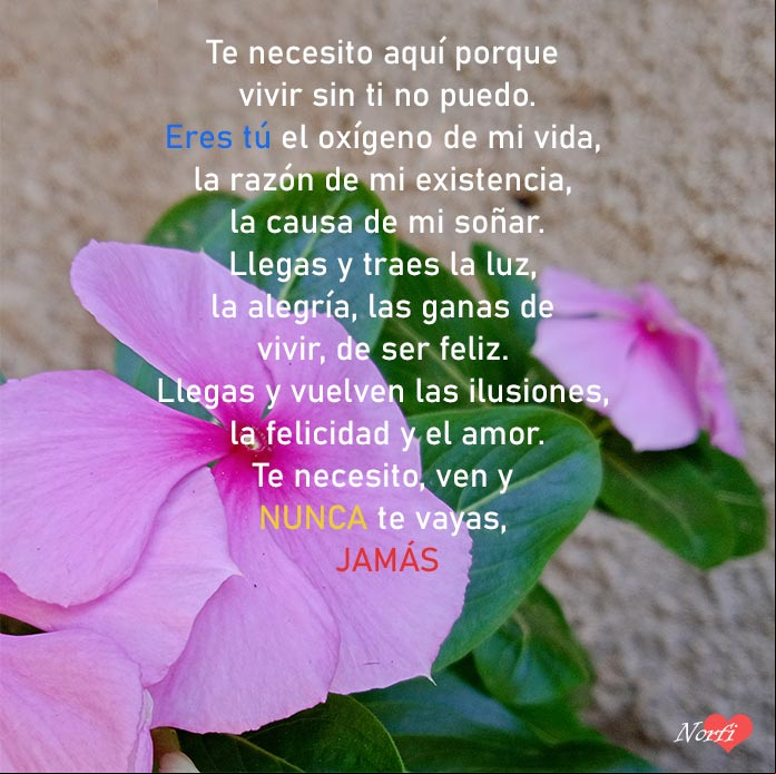 Te necesito aquí porque vivir sin ti no puedo Te necesito aquí porque vivir sin ti no puedo