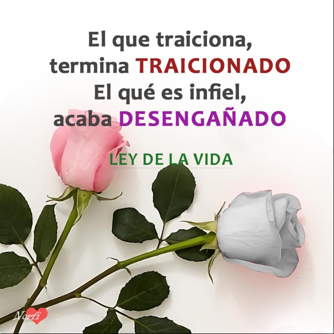 El que traiciona, termina traicionado. El qué es infiel, acaba desengañado. Ley de la vida Frases sobre la infidelidad: El qué es infiel, acaba desengañado