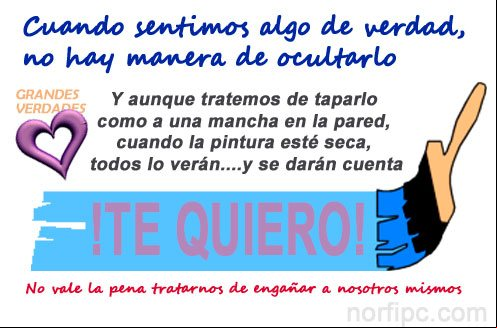 Cuando sentimos algo de verdad, no hay maneras de ocultarlo Cuando sentimos algo de verdad, no hay maneras de ocultarlo