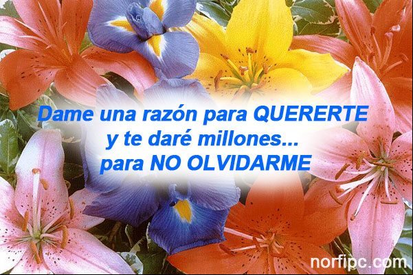 Dame una razón para quererte y te daré millones para no olvidarme Dame una razón para quererte y te daré millones para no olvidarme
