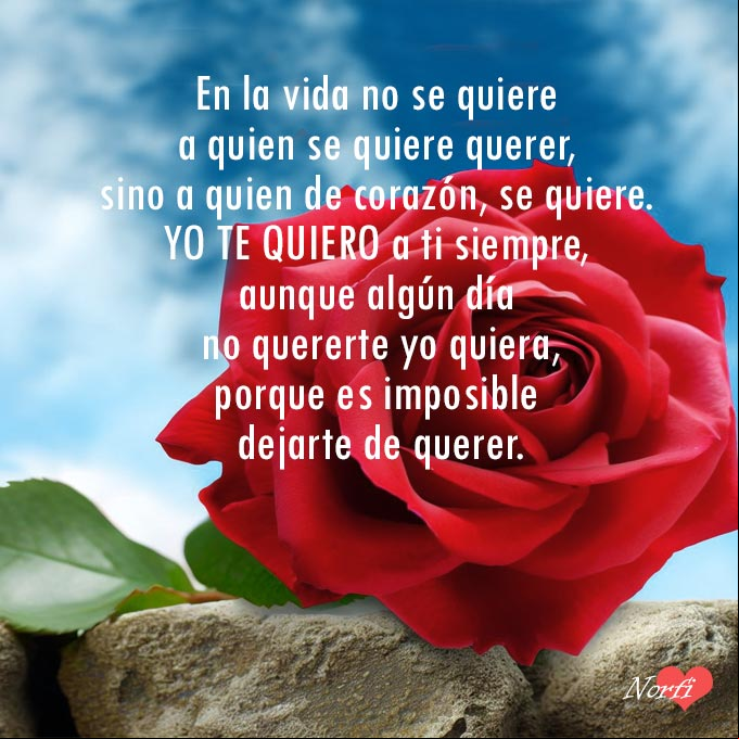 En la vida no se quiere a quien se quiere querer, sino a quien de corazón se quiere. Yo te quiero a ti siempre, aunque algún día no quererte yo quiera, porque es imposible dejarte de querer Rosa roja, sobre un muro de piedras, fondo cielo azul
