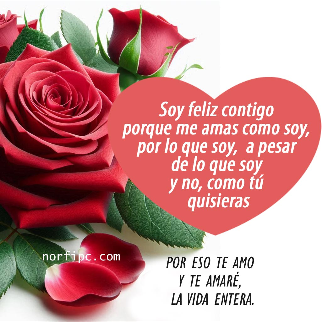 Soy feliz contigo porque me amas como soy, por lo que soy, a pesar de lo que soy y no, como tú quisieras Rosa roja con un corazón