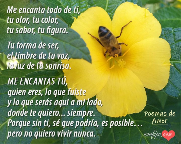 Me encanta todo de ti