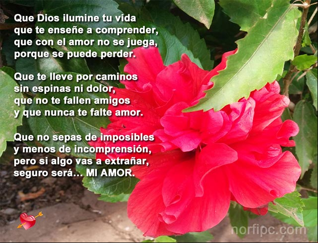 Que Dios ilumine tu vida que te enseñe a comprender que con el amor no se juega, porque se puede perder Verso para despedirse de un amor que termina