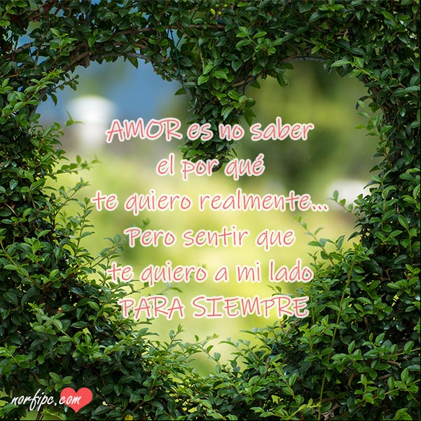 Amor es no saber el por qué te quiero realmente... pero sentir que te quiero a mi lado, para siempre. #MensajesAmor A mi lado para siempre