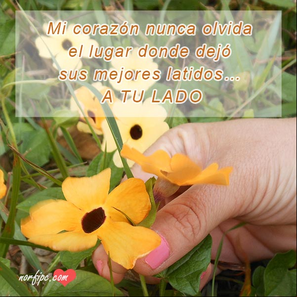 Mi corazón nunca olvida el lugar donde dejó sus mejores latidos... a tu lado. #FotosAmorInstagram A tu lado. Fotos con mensajes de amor en Instagram