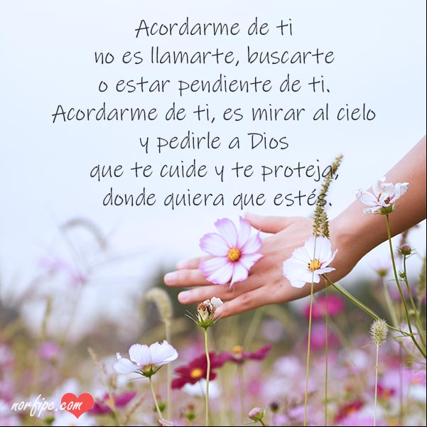 Acordarme de ti no es llamarte, buscarte o estar pendiente de ti. Acordarme de ti, es mirar al cielo y pedirle a Dios, que te cuide y te proteja, donde quiera que estés. #MensajesAmor Acordarme de ti