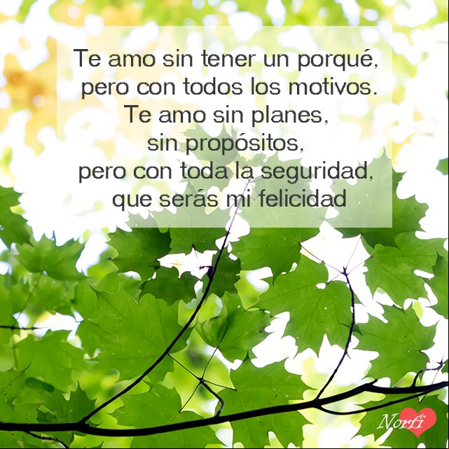 Te amo sin tener un porqué, pero con todos los motivos. Te amo sin planes, sin propósitos, pero con toda la seguridad, que serás mi felicidad. Te amo con todos los motivos