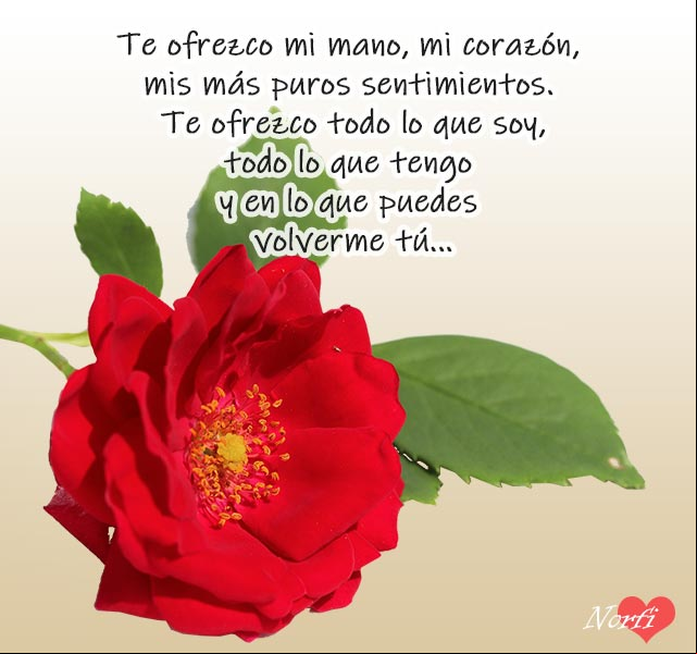 Te ofrezco mi mano, mi corazón, mis más puros sentimientos. Te ofrezco todo lo que soy, todo lo que tengo y en lo que puedes volverme tú... Te ofrezco