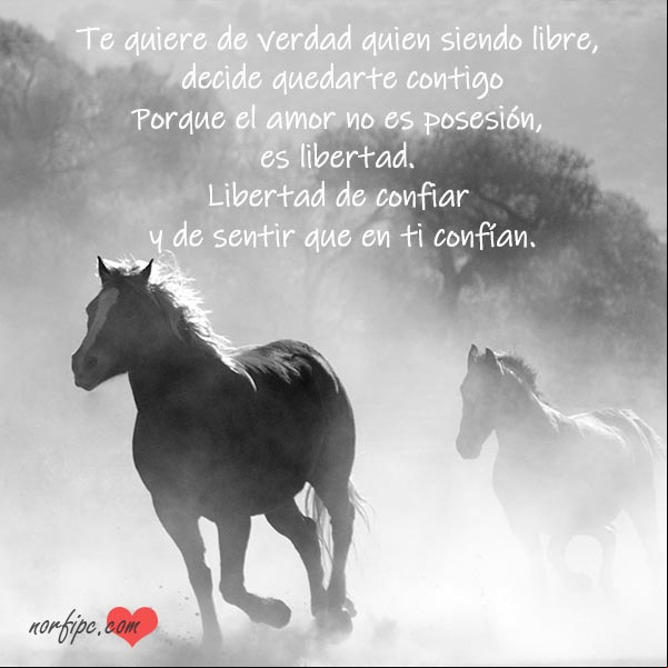 Te quiere de verdad quien siendo libre, decide quedarte contigo, porque el amor no es posesión, es libertad. Libertad de confiar y de sentir que en ti confían. #RelacionesAmor El amor no es posesión, es libertad