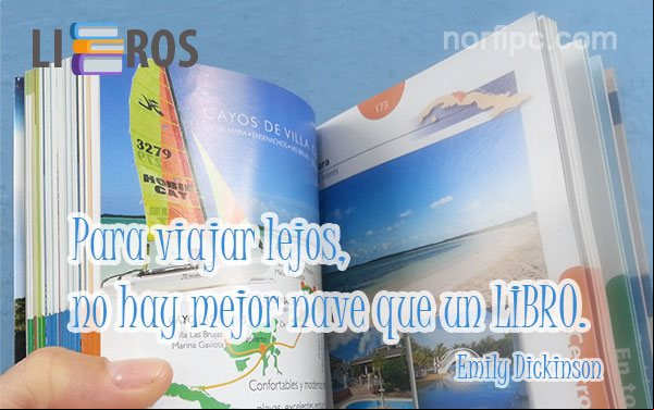 Para viajar lejos, no hay mejor nave que un libro. Frase de Emily Dickinson Frase de Emily Dickinson sobre el valor de la lectura y los libros