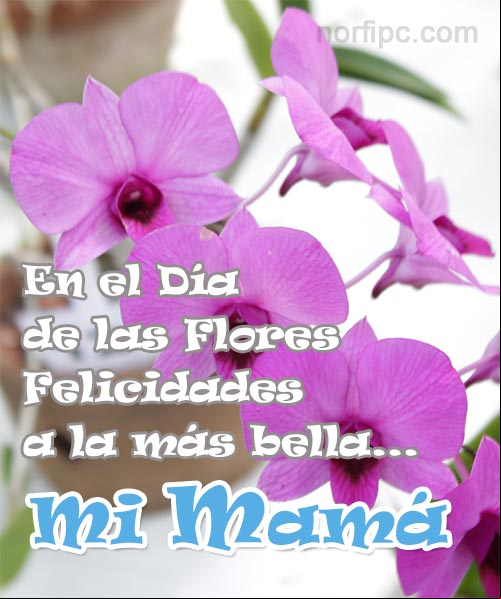Felicidades a Mi Mamá